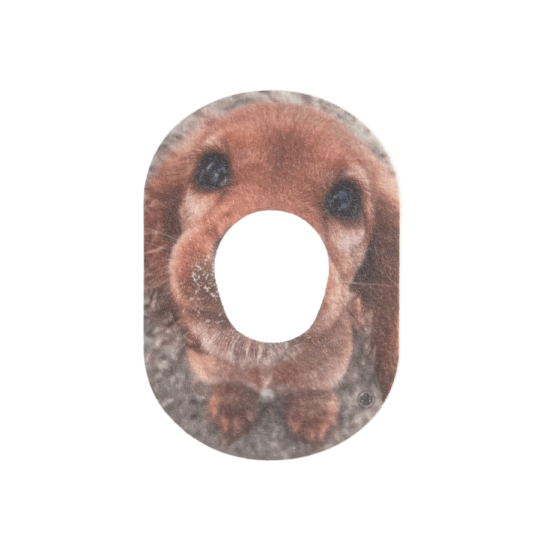 Diabeteshjalp Sensorplåster MixPack – Overpatches för Dexcom G7 och Dexcom ONE+ (Säljs styckvis)